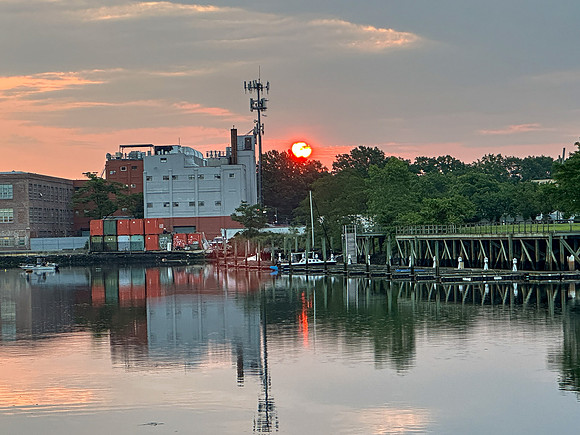 Toni Gerardi-Wofse ~ Good Morning Brooklyn