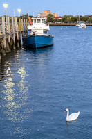 Eleanor Kelly ~ Sheepshead Bay