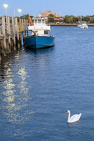 Eleanor Kelly ~ Sheepshead Bay