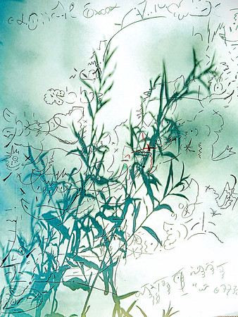 Frederic Schwartz – Au Naturel writing, page in the wild