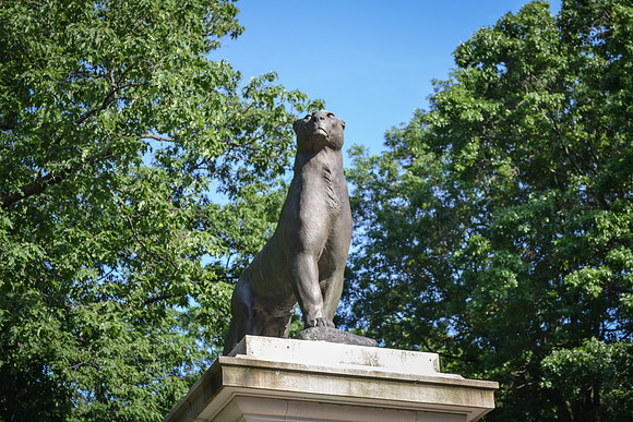 Seretha - Prospect Park Lion Statue