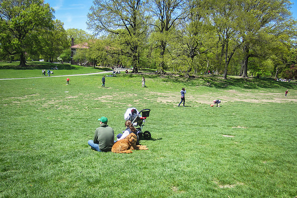 Marian - Nuclear Family: Parents, Child, & Dog in Prospect Park