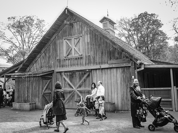 Carol - Jewish Holiday at the Brooklyn Zoo