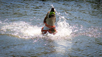Gertrude - A good Catch in Prospect Park
