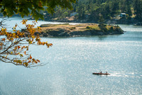 Travel Shots: Orcas and Beyond
