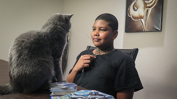 Donna – What is the Cat Thinking?