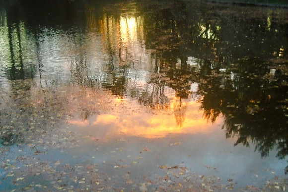 Carol – Sunset at Japanese Garden
