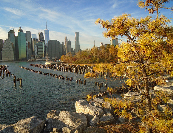 Carol – View From Brooklyn Bridge Park