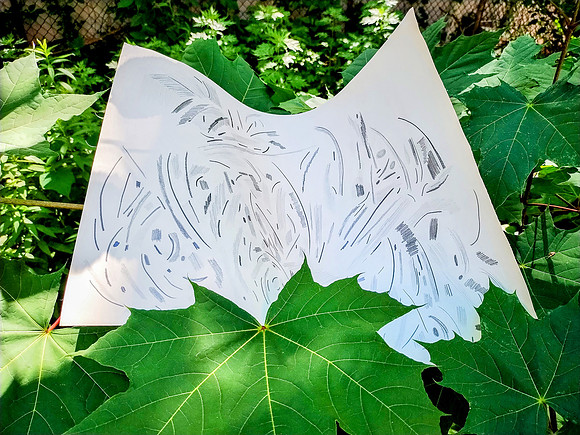 Frederic Schwartz – Almost ALIVE sketching... fly, butterfly