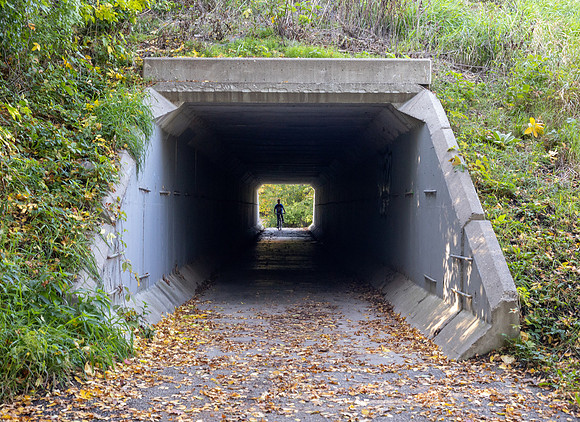 Thomas Zingsheim - Bike Path