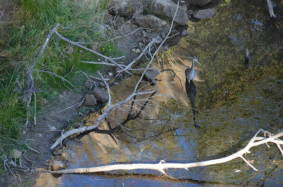 Roger Paul - Fair Oaks - on the American River-2