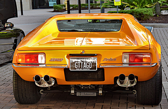 Don Columbus - 1973 Pantera