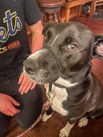 Marie Hershkowitz ~ Who's a good girl !!!!