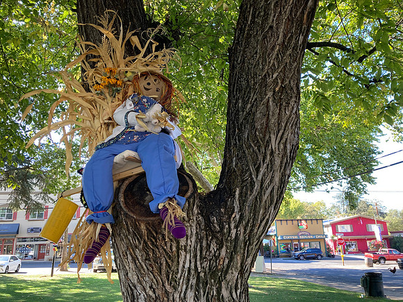 Kathy Paul - Harvest Time in Fair Oaks-3