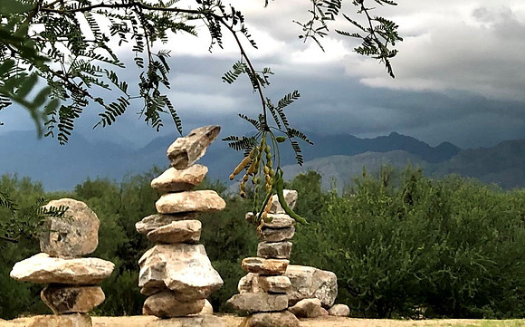 Carol Lindly - ZEN