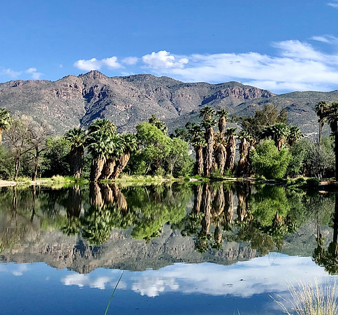 Carol Lindly - Agua Caliente Park
